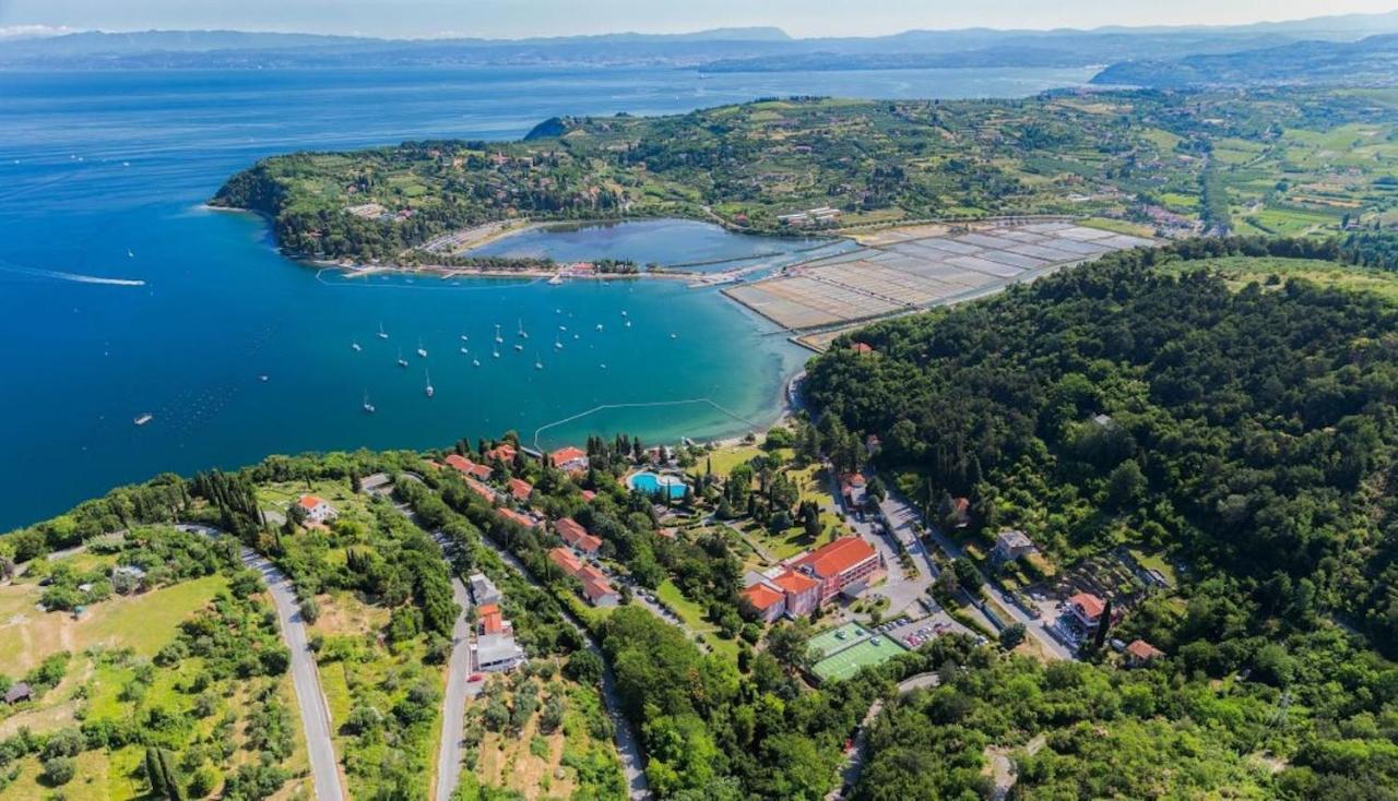 Dino Studio And Room Apartments Πορτορόζ Εξωτερικό φωτογραφία